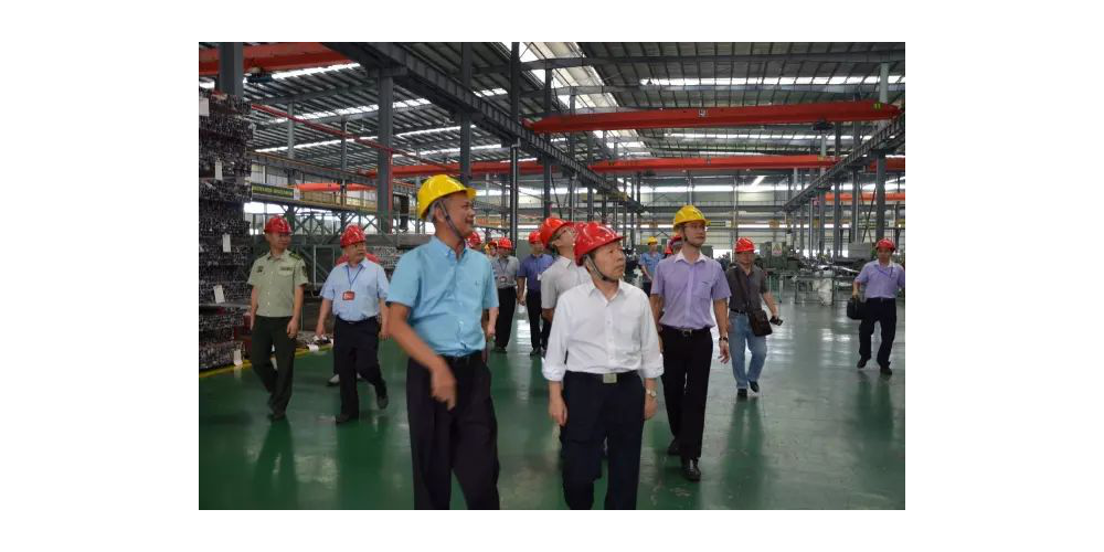 高明区委书记在广东胜游(中国)开展城市安全风险排查活动