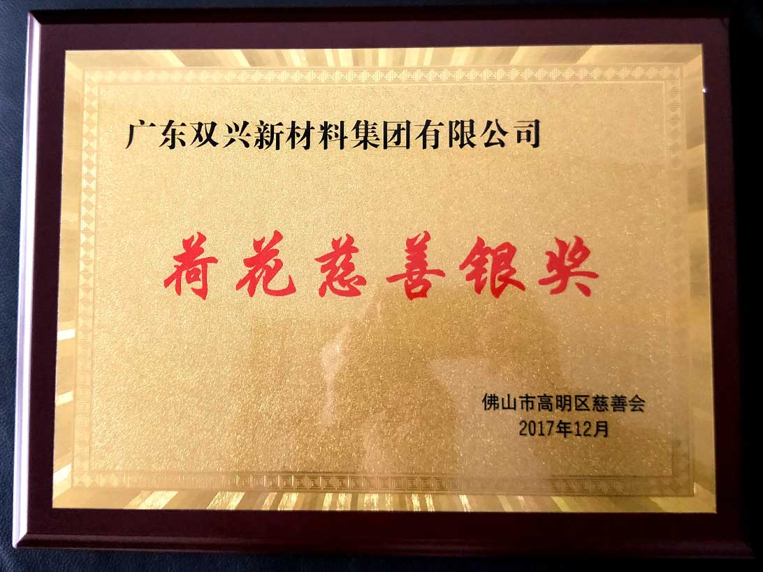 胜游(中国)-荷花慈善奖