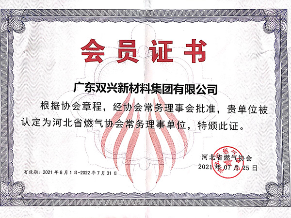 胜游(中国)-河北省燃气协会常务理事单位