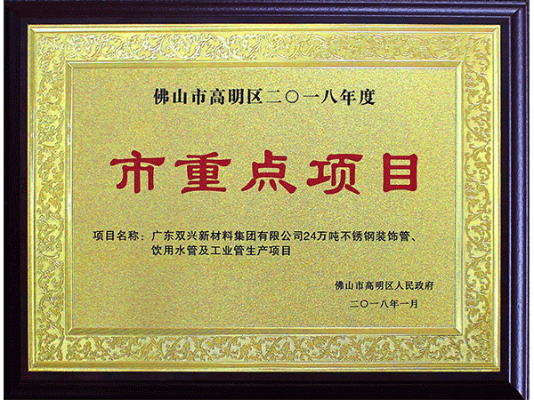 胜游(中国)-市重点项目