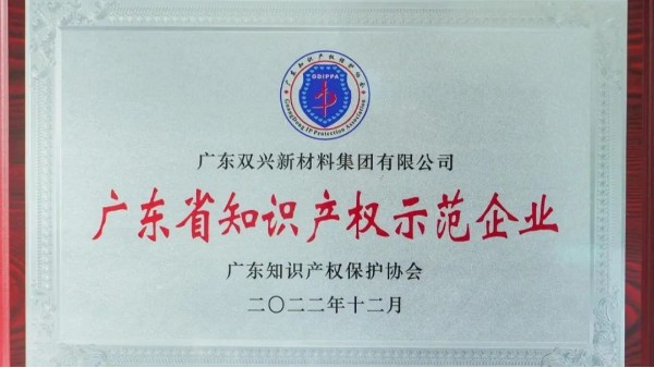 胜游(中国)集团荣获“知识产权示范企业”荣誉